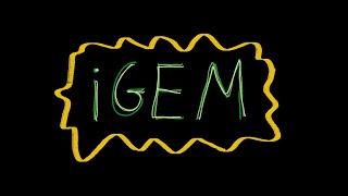 What is iGEM?