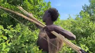 The Hunting monkey Hadzabe Bush Tribe in Action