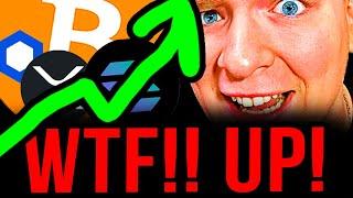 BITCOIN: IT HAS STARTED!!!!!!! (bears in disbelief)