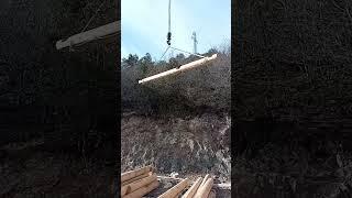 Log cabins in the mountains