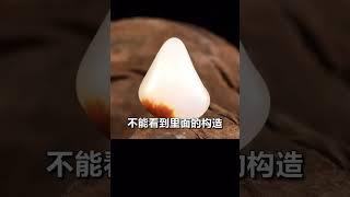 什麼是翡翠和玉？#翡翠知識 #翡翠講解 #珠寶 #翡翠台