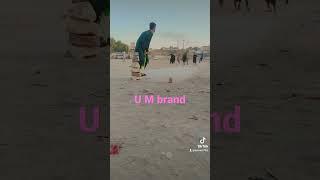 U M brand cricket short 