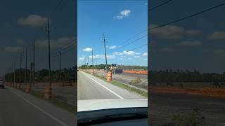 #florida #roadconstruction encroaching on #cows #farmland #construction