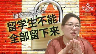 加拿大留学生将与移民脱钩, PR无望? 加拿大留学转移民彻底凉凉了吗? 还有哪些人适合留学, 哪些项目适合留学生?