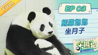 【熊猫慢综艺】双胞胎熊猫妈妈怡畅“坐月子”, 突发状况吓坏饲养员 | 成长吧大熊猫