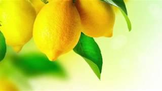 Oh, Lemon - H. Villa-Lobos