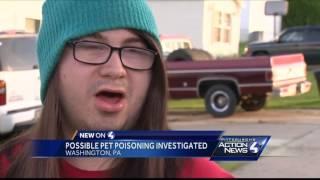 Vets, community believe anti-freeze poisoned Washington County pets