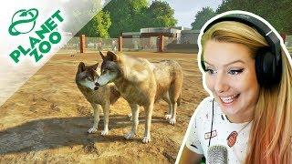 NAŠE VLASTNÍ ZOO A PRVNÍ ZVÍŘATA ● Planet Zoo 01