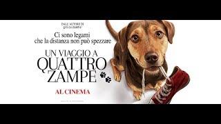 Un Viaggio a Quattro Zampe - Trailer italiano | Dal 14 marzo al cinema