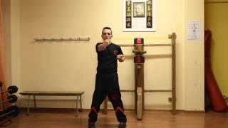 Wing Tsun Kung Fu Messina IWTSA