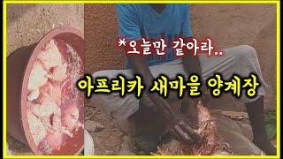 아프리카 새마을 양계장. 생각보다 운영이 잘 되는데..