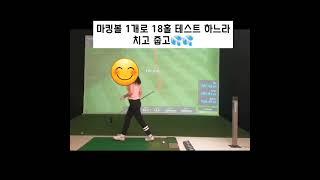 카카오프렌즈스크린 QED 마킹볼 원형마킹볼 티업비전 레인지볼 스크린골프공  내구성UP