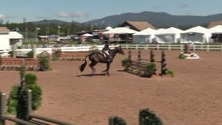 Video of ZONDER Z QUATTRO ridden by ABIGAIL TINSLEY from ShowNet!