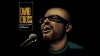 David Cross - I Can't Get Beer In Me