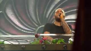 Steve Angello - Remember (Live from TomorrowWorld 2015)