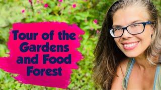 Tour of the Gardens and Food Forest