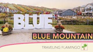 Everything you need to know - Blue Mountain Village Ontario