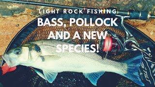 Light Rock Fishing - Bass, Pollock & A New Species!