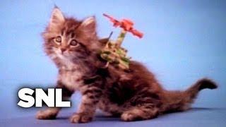 Action Cats - Saturday Night Live