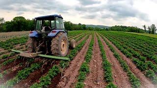 Fighting a HUGE problem in our fields