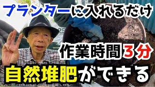 【登録者1万人記念②】腐葉土と一緒に〇〇野菜を植えるだけ！？最もカンタンな自然堆肥の作り方