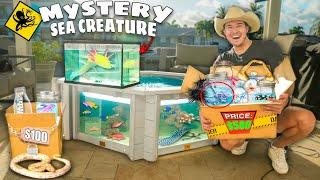 $100 vs $500 SEA CREATURE Mystery FISH Box For My SALTWATER PONDS! (shopping spree)