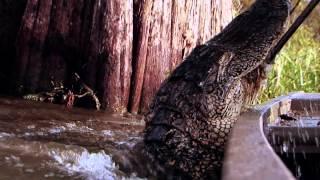 Swamp People - New Season Trailer