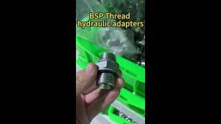 What is BSP hydraulic fittings? 10 tips you need to know about BSP hydraulic fittings