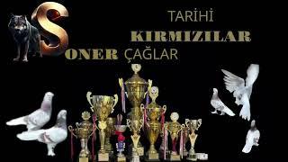 30 YILLIK TARİHİ KIRMIZILAR 