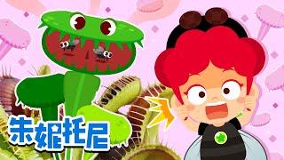 食虫植物 | 趣味探索 | 昆虫博士 | 吃昆虫的植物 | 朱妮托尼儿歌 | Kids Song in Chinese | 兒歌童謠 | 卡通動畫 | 朱妮托尼童話故事 | JunyTony