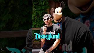 I Sampled Disney Rides… and Made a Vibe #disneylandadventures