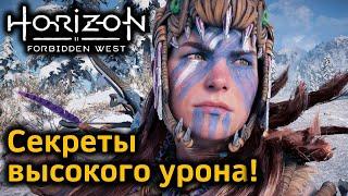 Horizon Forbidden West | Как повысить урон | И что для этого нужно | 8 принципов высокого урона