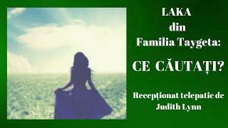 LAKA ~ Familia Taygeta : CE CĂUTAȚI? / Judith Lynn