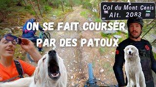 ON SE FAIT COURSER PAR DES PATOUX - ENDURO MONT CENIS - Minitel And Scope