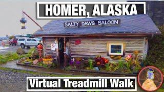 City Walks - Homer Alaska Walking Tour - Virtual Walking tour of Homer Spit - Marina and Shops