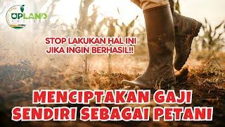 Menciptakan Gaji Sendiri Sebagai Petani - Materi Pelatihan Bisnis Pertanian Organik | UPLAND Project