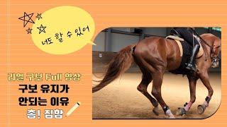 [DK Horse] 구보 유지가 안되는 이유| 리얼 구보 Full 영상 | 이강진 코치 | 에이스승마랜드 | 승마 마장마술 기승일기 | Horse Riding