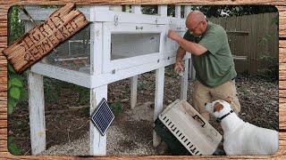 I Need To Process All Of The Quail In This Hutch