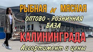 РЫБНАЯ и МЯСНАЯ база. Где закупаются Калининградцы⁉️