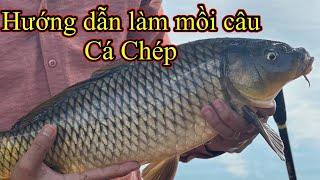 Hướng dẫn làm mồi câu cá chép , dễ dàng và tiết kiệm chi phí