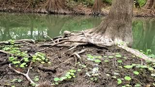 Castroville Regional Park