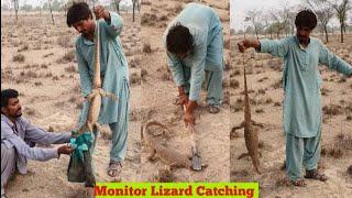 Snake Catchers trying to Catch Monitor Lizard on the Complaint of Farmers