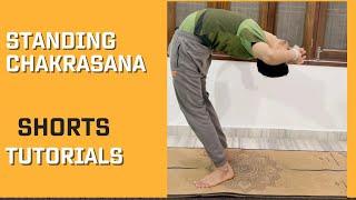 Standing wheel pose Standing chakrasana #shorts