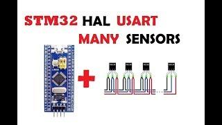 STM32Cube DS18B20 USART MANY SENSORS