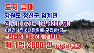 토지매매 강원도 정선군 공시지가 비슷하게 나온 토지급매