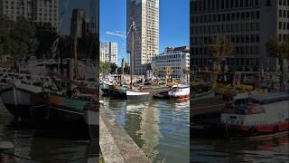 ️ Museum Harbour 14 Rotterdam  @TravelwithHugoF #harbour #museumharbour #rotterdam