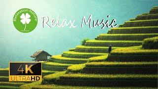 Nature relaxation video  in 4k Paysage magnifique Relaxing music. wonderful landscape. Soothing