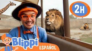 Blippi va al Zoo!  Aprende con Blippi | @BlippiEspanol  | Moonbug Kids Parque de Juegos