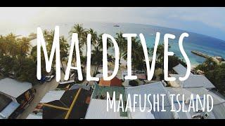 2019.12.27 몰디브(Maldives)#5_ 마푸시섬(Maafushi island) 