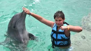 Swimming with dolphins in Punta Cana